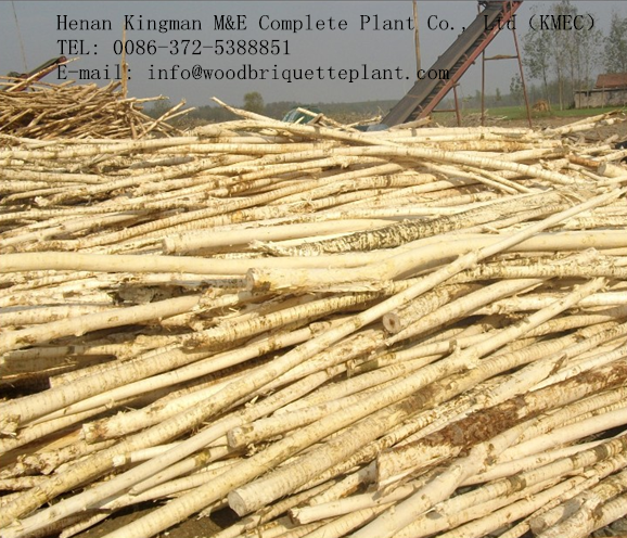 Debarked Wood Logs