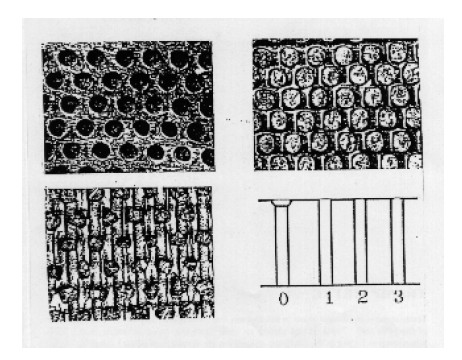 Pellet Mill Die Hole