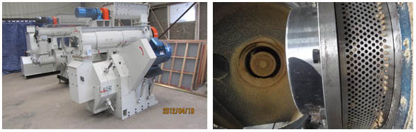 Sawdust Pellet Machine