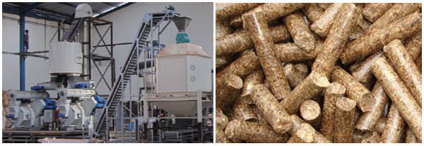 Wood Pellet Plant in Indonesia