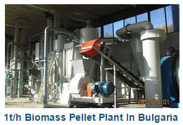1t/h biomass pellet plant
