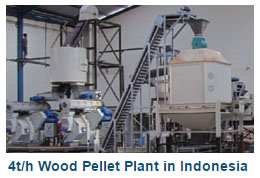 4t/h wood pellet plant