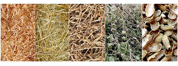 Raw Materials for Biomass Pellets
