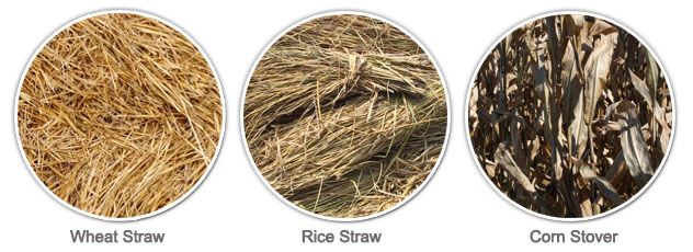 Various Straw as Raw Materials
