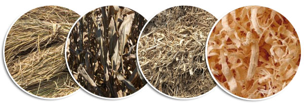 Raw-materials-of-biomass-pellet-mill