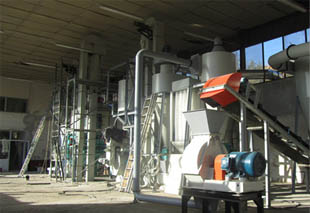 Biomass Pellet Plant