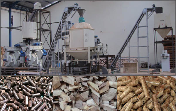 wood pellet plant