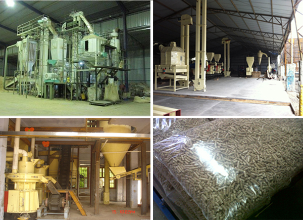 biomass pellet plant and pellet