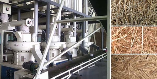 pellet plant and biomass fuel