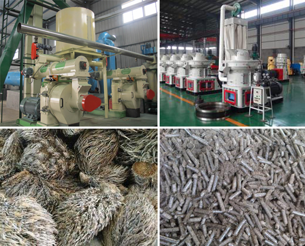 biomass pellet machine and EFB pellet