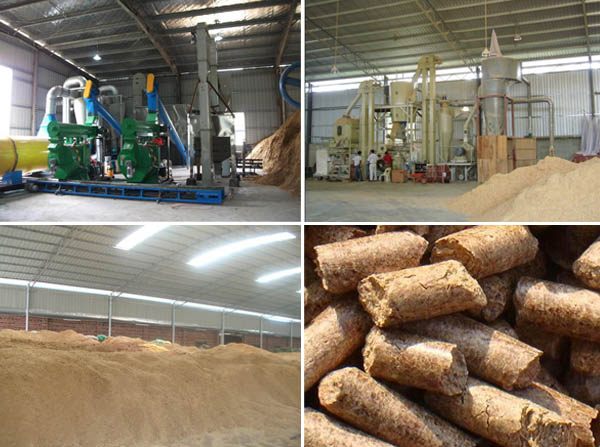 sawdust pellet machine production