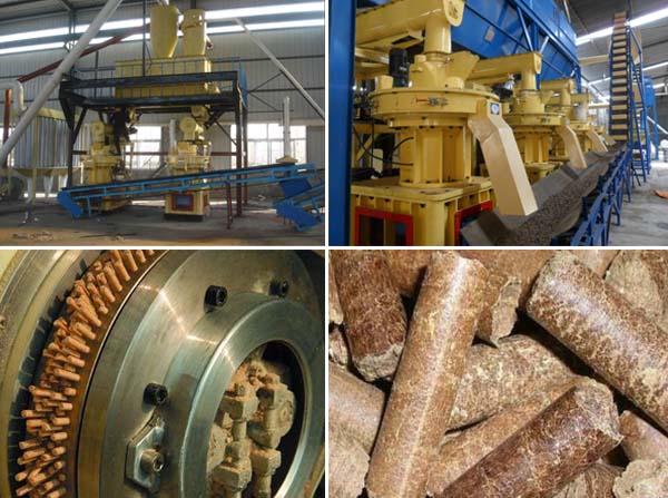 pellet production with wood pellet mill