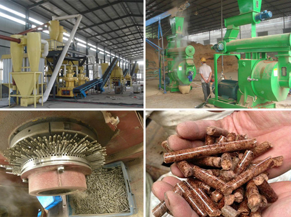 pellet plant production