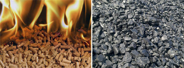 wood pellet and coal