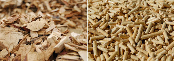 wood chips and wood pellet
