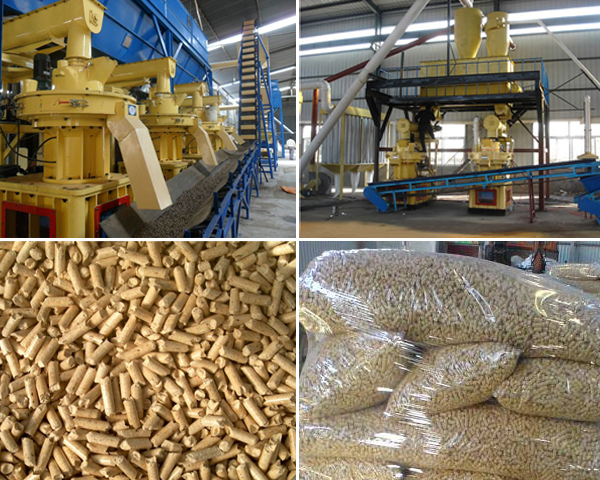 pellet fuel production in pellet plant