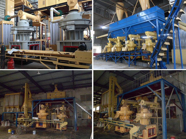 wood pellet mill production