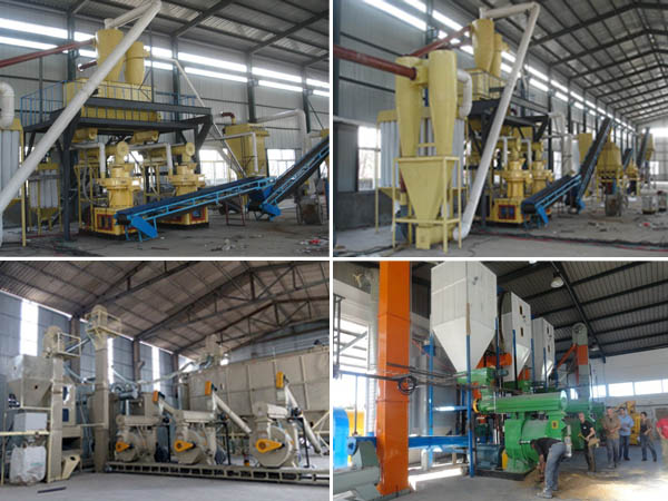 correct operation of wood pellet mill