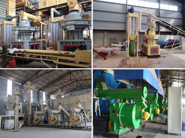 wood pellet mill operation