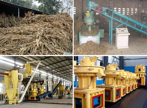 straw pellet mill production