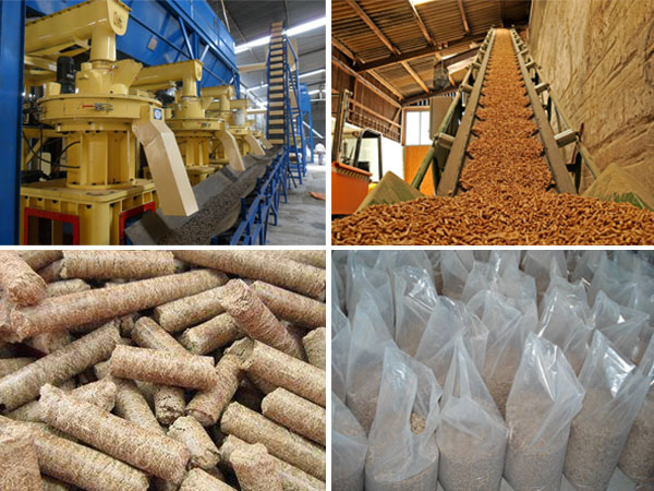 pellet storage of biomass pellet machine