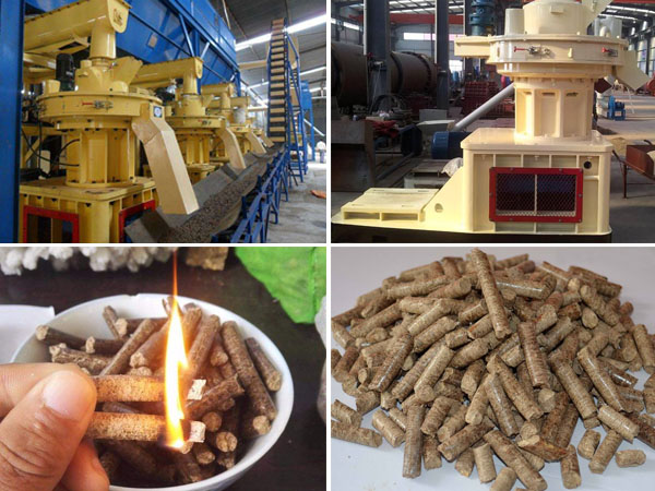 pellet fuel and biomass pellet machine