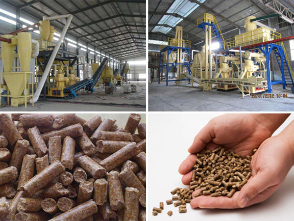 pellet plant and biomass pellets