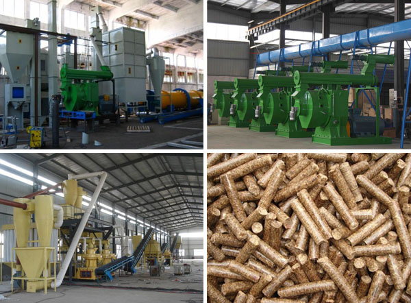 pellet machine and biomass pellets