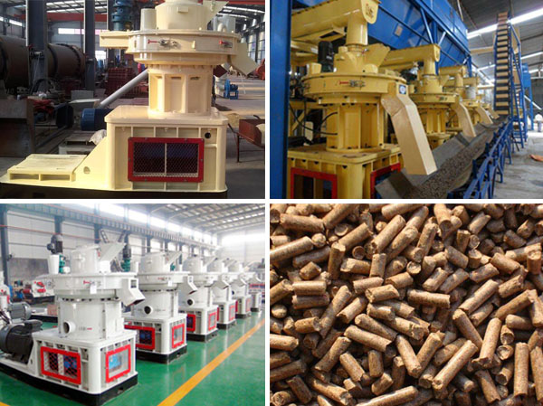 sawdust pellets and biomass pellet machine