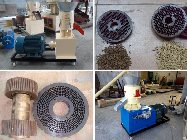 flat die pellet machine