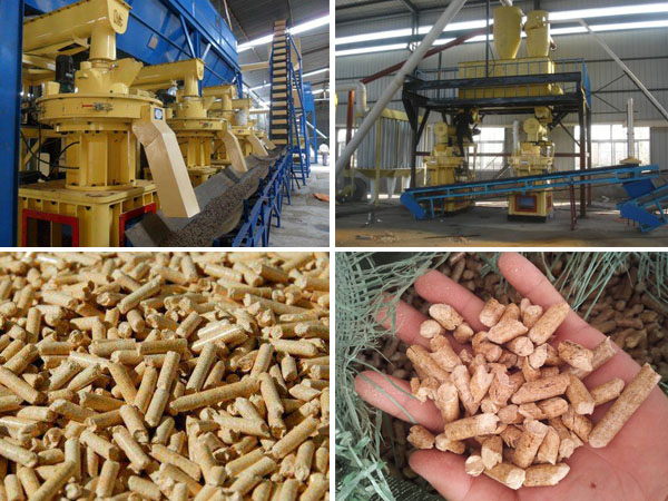pellet machine and biomass pellet fuel