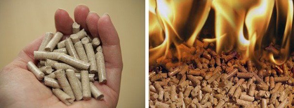 Biomass Pellet Fuel