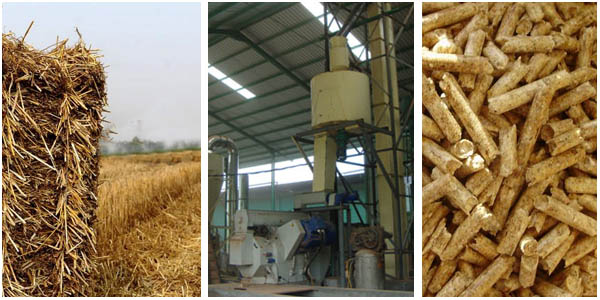 Straw Pellet Mill