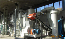 Biomass Pellet Plant