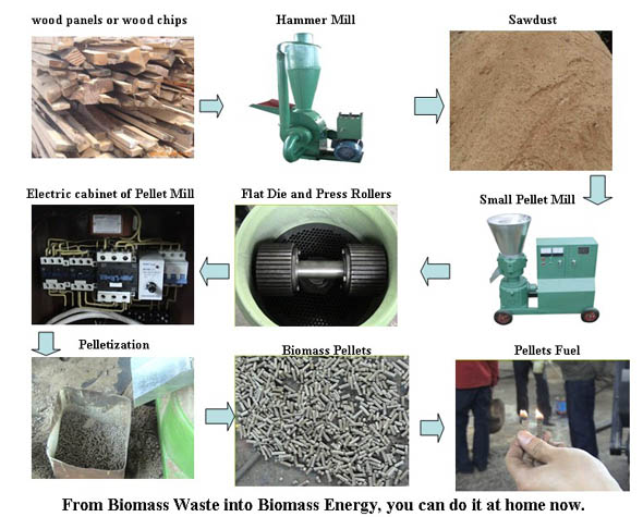 Flow Chart of Pelletization from Hammer Mill to Small Pellet Mill