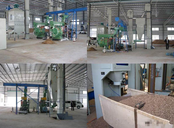 Biomass Pellet Plant