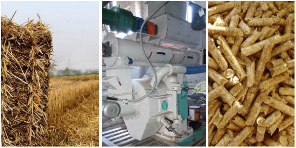 Straw Pellet Plant