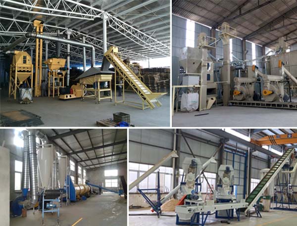 complete set of wood pellet plant